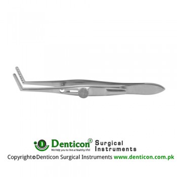 Jameson Muscle Forcep Right - With Slide Lock 6 Teeth - Adult Size Stainless Steel, 10 cm - 4" 
